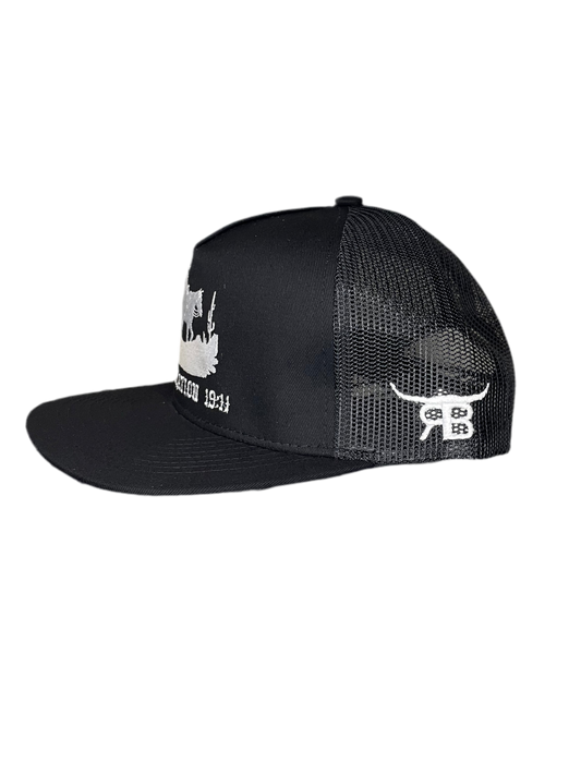 “The White Rider”